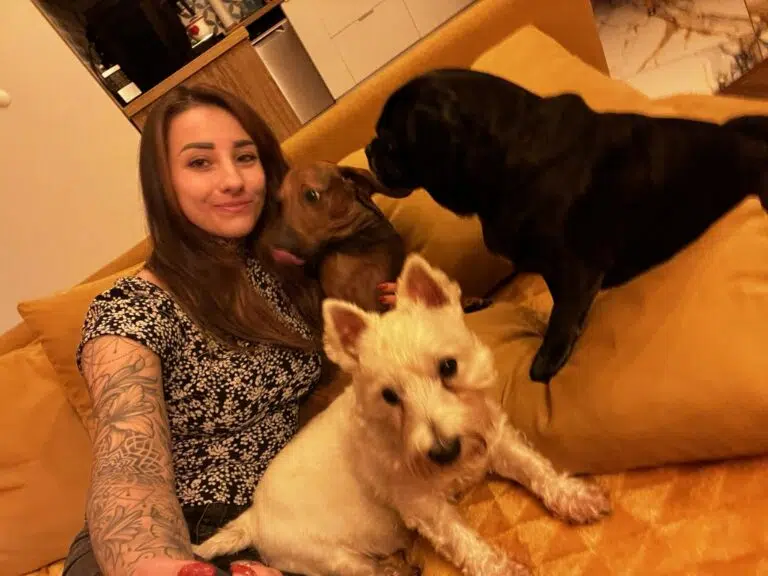 hotel dla psów katowice papitko